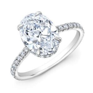 Oval Hidden Halo Engagement Ring