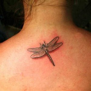 Dragonfly Tattoo Ideas for Female’s