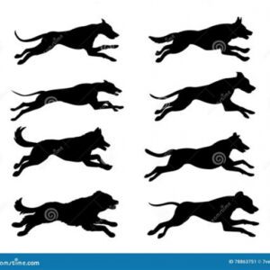 Tattoo Ideas for Dog Silhouette Running